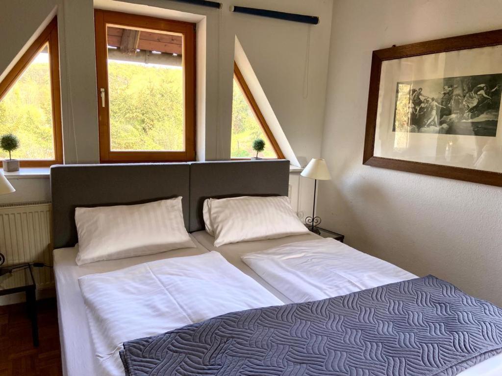 Hotel Weisse Muehle Breitenworbis Kültér fotó